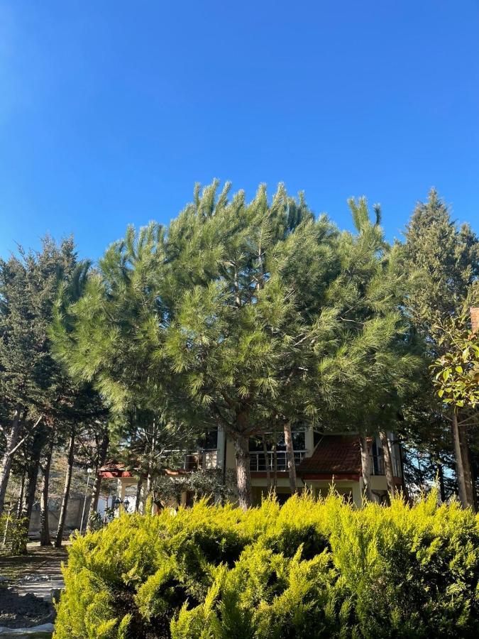 Hotel Garden Villa Ardo Golem  Exteriér fotografie